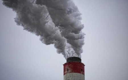 В Узбекистане будут останавливать работу предприятий, загрязняющих воздух