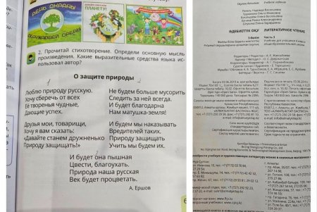 “Люблю природу русскую”: содержание стихов в казахстанском учебнике возмутило Казнет