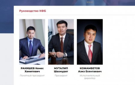 Тимур Кулибаев покинул почетный пост