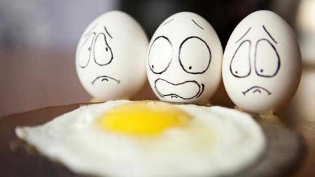 Зафиксировать цены на яйца до конца года предложили в Казахстане