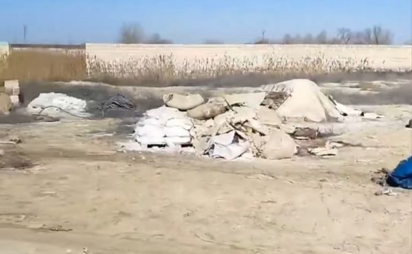 На уборку в новом центре временной передержки животных приглашают жителей Актау