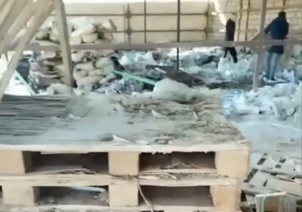 На уборку в новом центре временной передержки животных приглашают жителей Актау