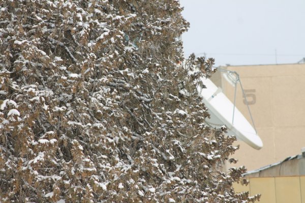 Снежный Актау: фотопост