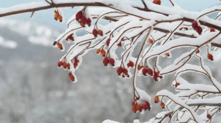 Лютые морозы: где в Казахстане ощущается как минус 57 и что говорят в Казгидромете
