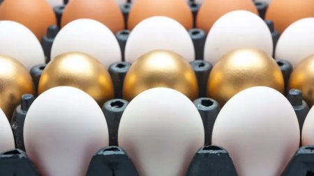 После запрета на импорт яйца в Казахстане станут "золотыми"? Ответ главы Минсельхоза