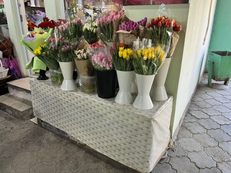 Во сколько жителям Актау обойдётся букет тюльпанов?