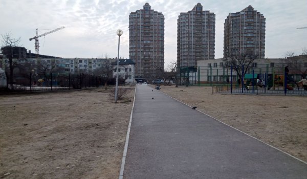 Пустырь вместо аллеи: жители Актау просят засадить земельный участок деревьями