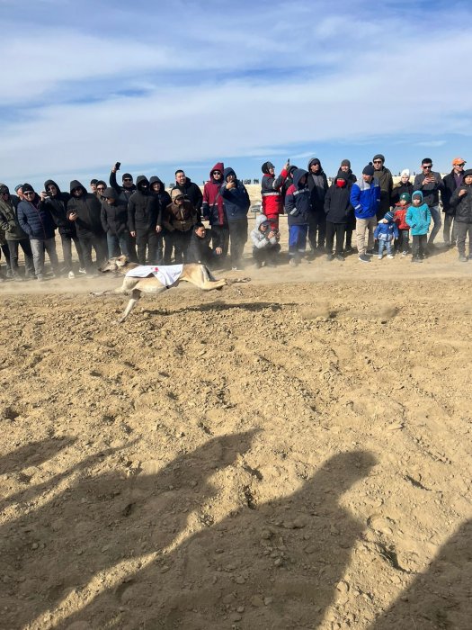 Победитель в конных скачках  в Мангистау получил три миллиона тенге