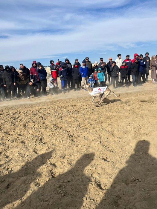 Победитель в конных скачках  в Мангистау получил три миллиона тенге