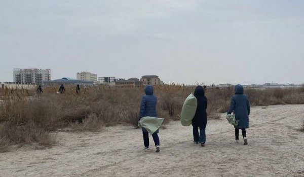Госслужащие собрали около восьми тонн мусора в Актау