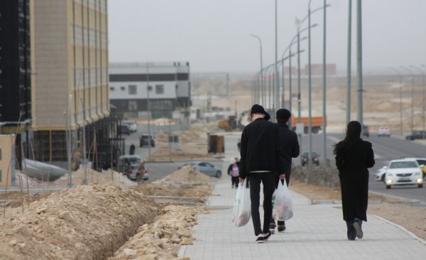 Жители Актау раскритиковали очередную посадку деревьев