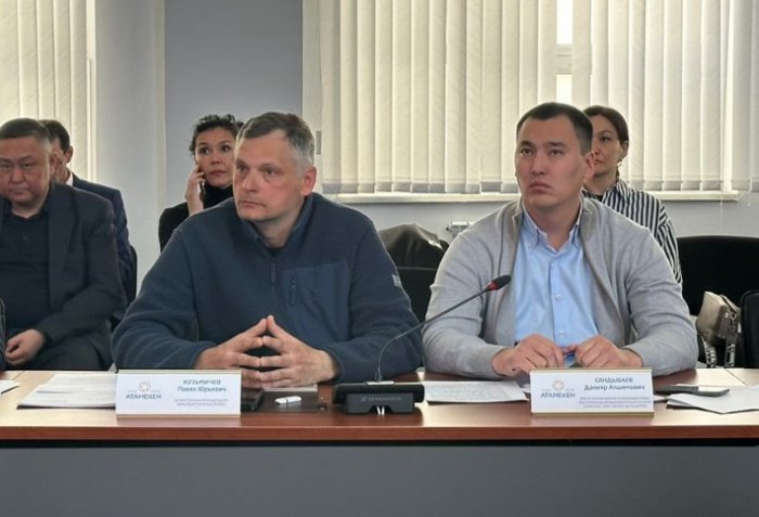 Представитель Ассоциации озеленения Казахстана поделился планом спасения зеленого фонда Актау