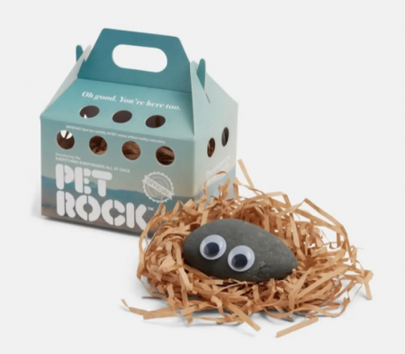 В Южной Корее стали скупать камни вместо домашних питомцев