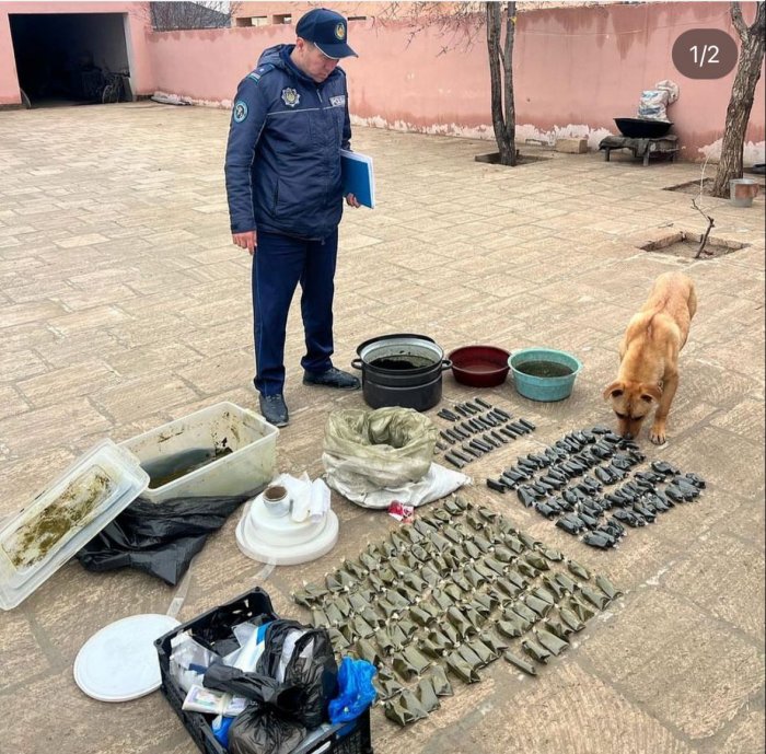 В Жанаозене изъяли крупную партию насвая у 49-летней женщины