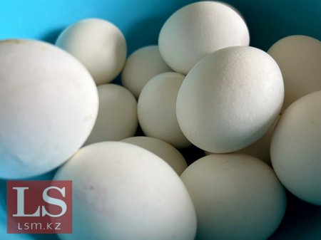 Производители повысили цены на молоко и яйца