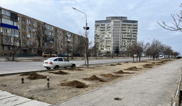 Точно автобусная остановка? Решение властей озадачило жителей Актау