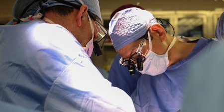 В США проведена первая успешная операция по пересадке свиной почки человеку