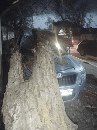 Алматинцы оказались в центре апокалипсиса