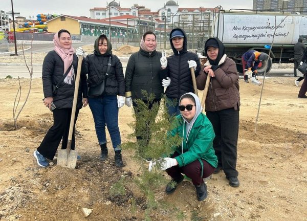 Чиновники высадили несколько сотен деревьев в Актау