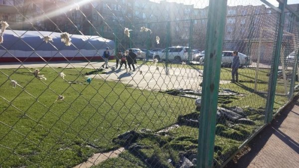 «Недофутбол»: дети вынуждены играть на истерзанном поле в Актау