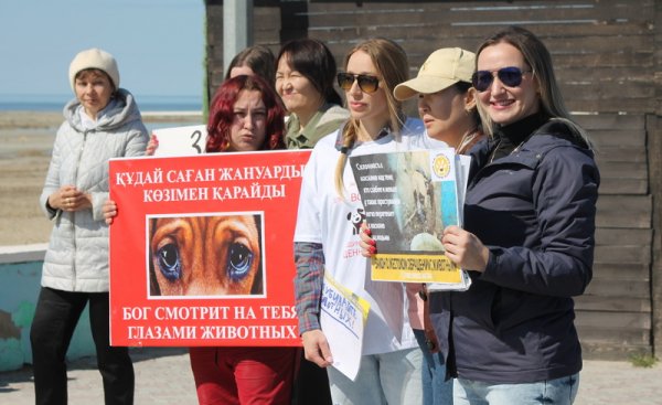 Эвтаназия – вынужденная мера? На митинге в Актау зоозащитники выступили против поправок в закон