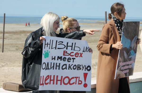 Эвтаназия – вынужденная мера? На митинге в Актау зоозащитники выступили против поправок в закон