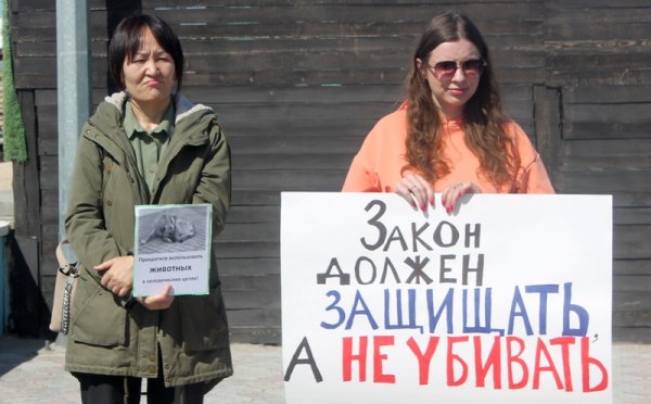 Эвтаназия – вынужденная мера? На митинге в Актау зоозащитники выступили против поправок в закон