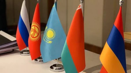 Страны ЕАЭС начнут признавать ученые степени казахстанцев без подтверждения
