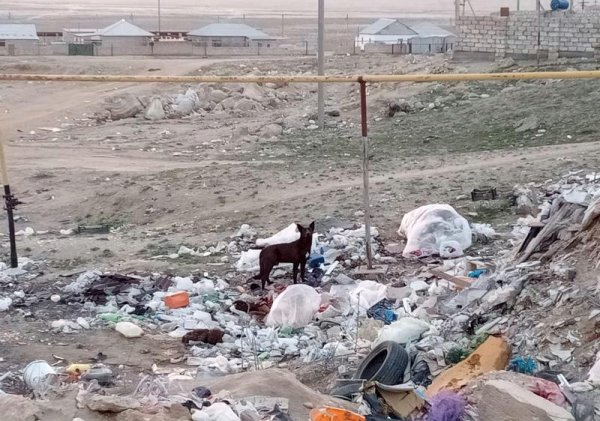 Сельчанин устроил «мусорный полигон» в пригороде Актау