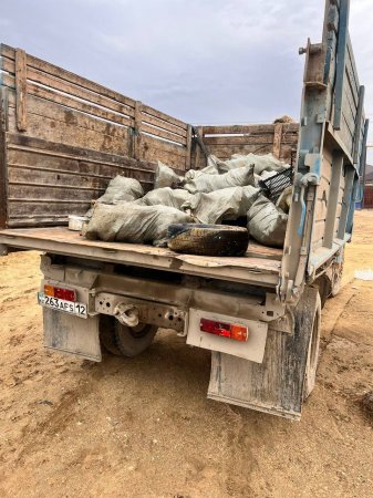 В области прошел очередной весенний субботник