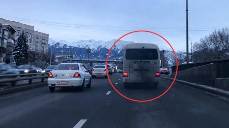 Выхлоп у авто: что нужно знать, если экологи в Казахстане решили «понюхать» ваш автомобиль