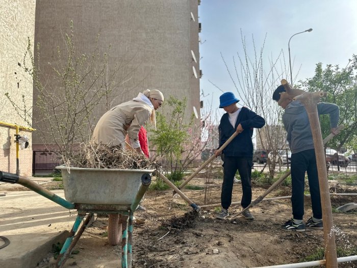 «Лучший двор»: житель Актау посадил около 30 деревьев возле своего дома