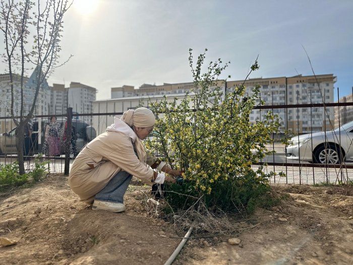 «Лучший двор»: житель Актау посадил около 30 деревьев возле своего дома