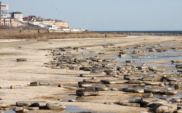 Жители Актау предлагают убрать камни с оголенного побережья Каспия