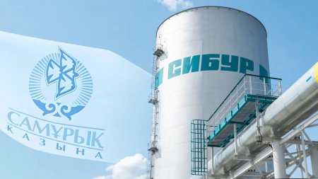 Казахстан продал долю в проекте по полипропилену российской компании, связанной с подсанкционными бизнесменами Тимченко и Михельсоном