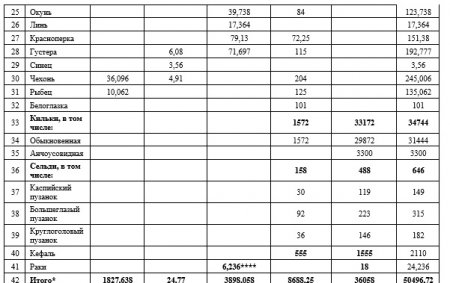 В Мангистау установят лимиты вылова рыбы с 1 июля 2024 года
