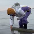 Экоактивисты взяли пробы воды для выявления причин массовой гибели лебедей на озере Караколь
