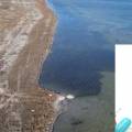 В Rixos Актау прокомментировали гибель лебедей: проект сброса очищенных сточных вод в Караколь был утвержден при строительстве отеля