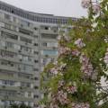 Время раздеваться: какая погода ожидает жителей Мангистау на выходных
