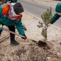 В Актау начался сезон полива и других озеленительных работ